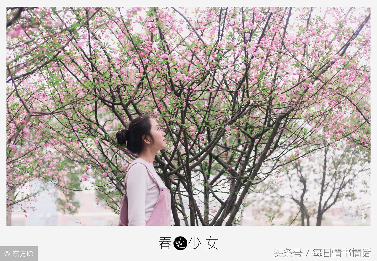情书情话，古风言爱情，这些一两句的小短句，你中意哪一句呢？