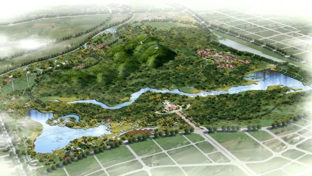 妈妈我实在读不下去了！中国大学转出率超高的10大专业