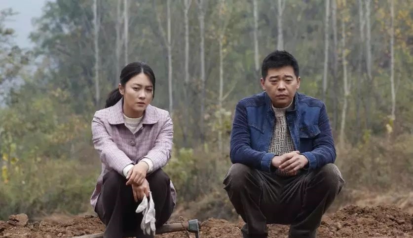 农村题材剧《初婚》今晚上海电视剧频道开播 人生有悲亦有喜