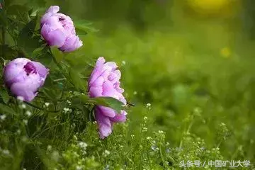 厉害了，我的学长学姐｜优秀保（考）研学子风采展