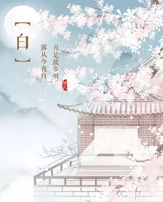 韩姓专属魅力：13个姓氏中的独特风采与传承
