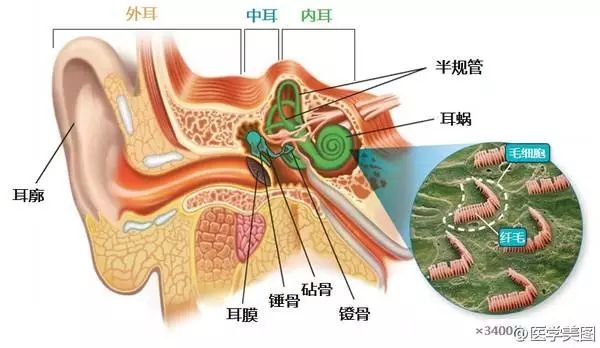 “遗忘的角落”——小儿中耳炎