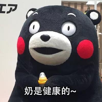 熊本熊表情包：喝奶茶是不会胖的