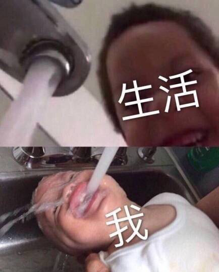 生活和我表情包