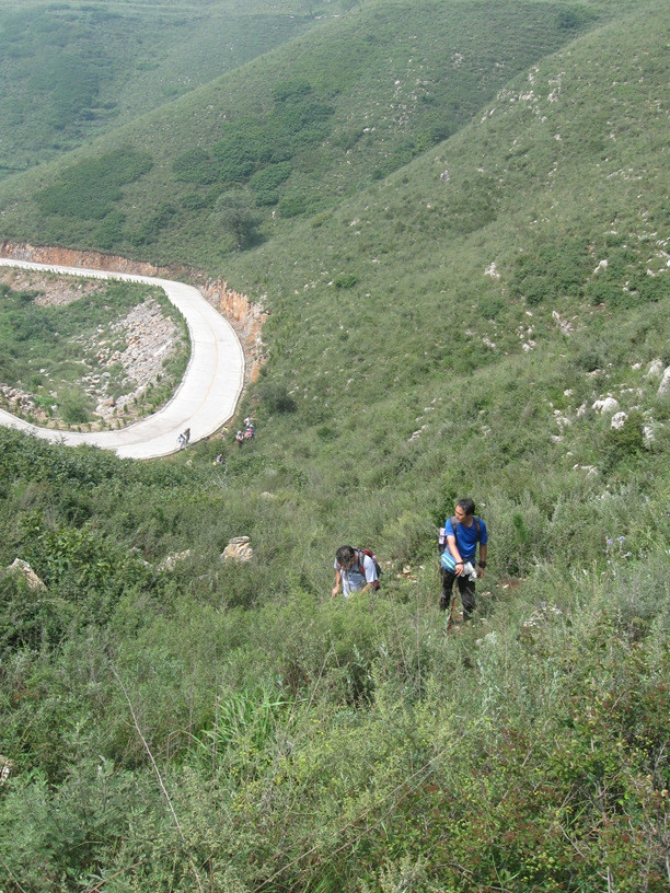 日月星走马槽王山铺