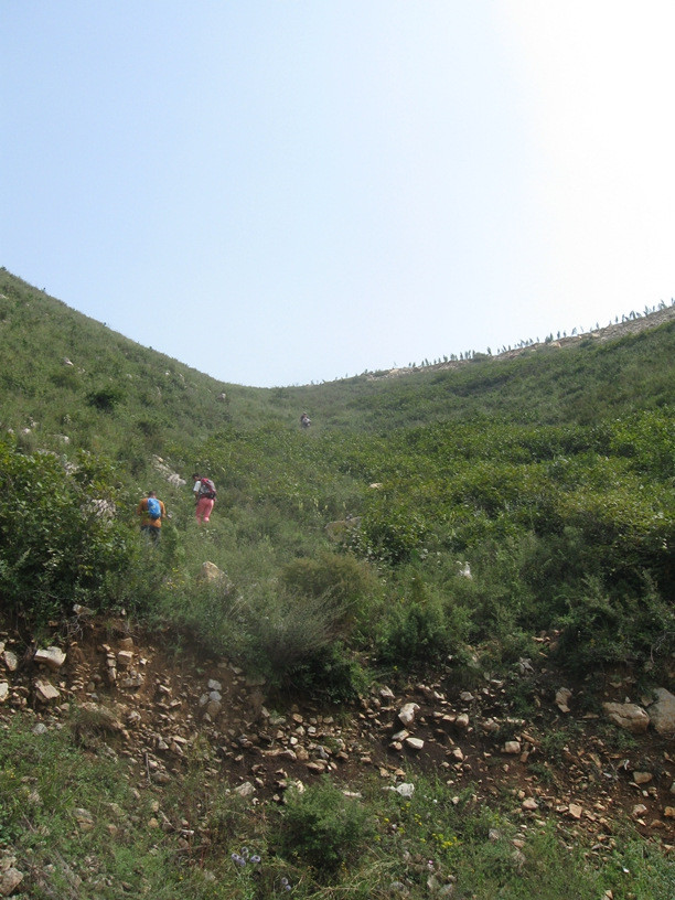 日月星走马槽王山铺