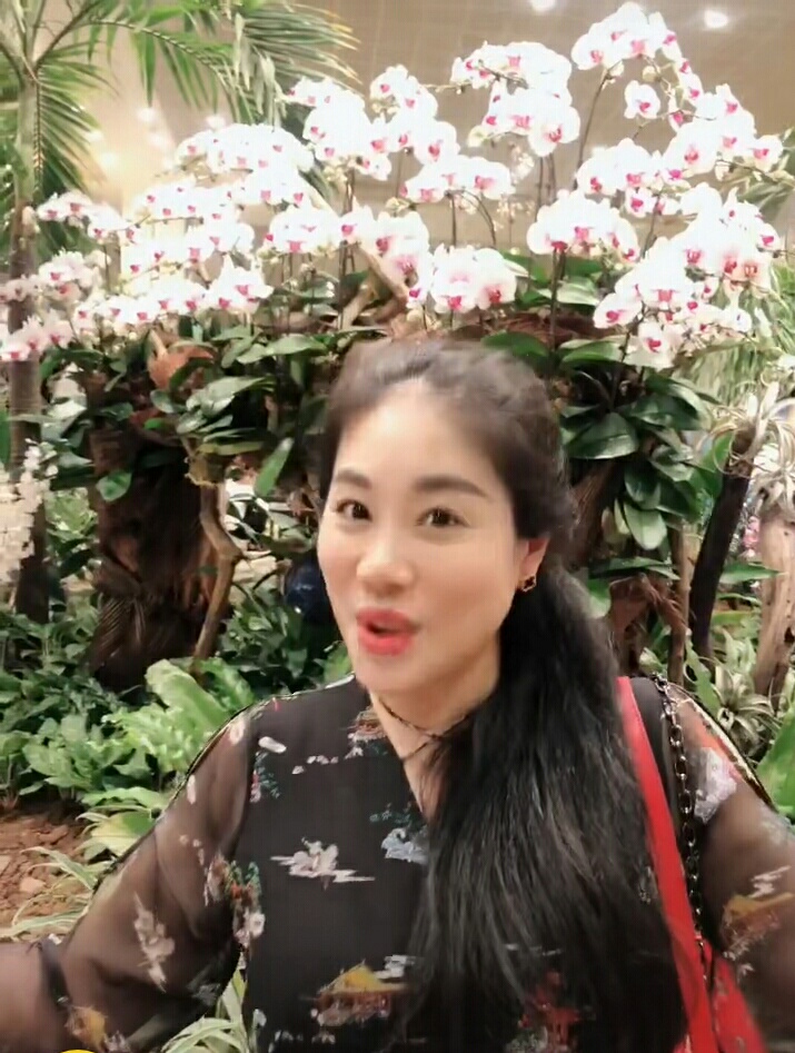 2017年全国各地中考数学压轴题讲解：贵阳市第25题