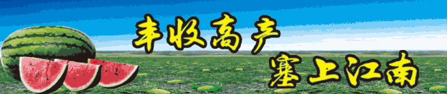 中卫租房,中卫租房信息平台
