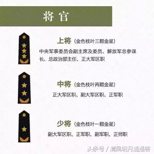 军衔肩章(团长是什么军衔肩章) - 泉兴百科