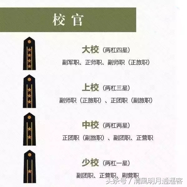 军衔肩章(团长是什么军衔肩章) - 泉兴百科