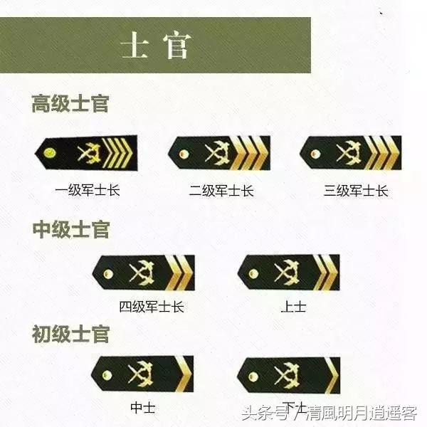 军衔肩章(团长是什么军衔肩章) - 泉兴百科