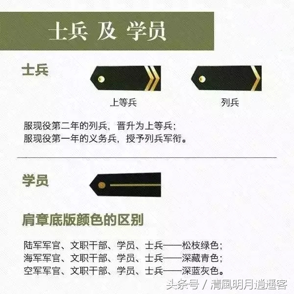 军衔肩章(团长是什么军衔肩章) - 泉兴百科