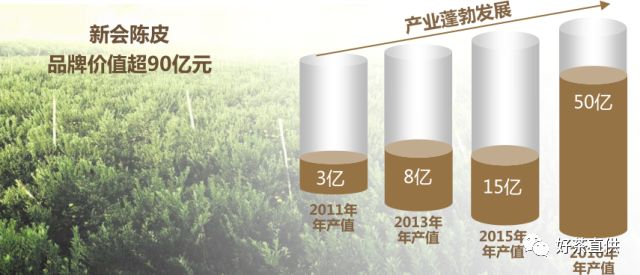 新会陈皮品牌价值90多亿，陈皮村吴村长亲授成功秘诀！