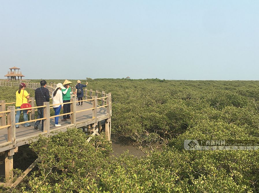 去浪！广西一大波景区免费、半价！错过再等一年！