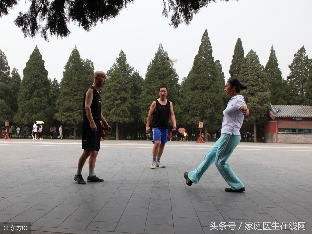 有氧运动有哪些？其实这5种常见的运动，都属于有氧运动
