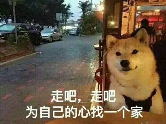 一只狗的节日