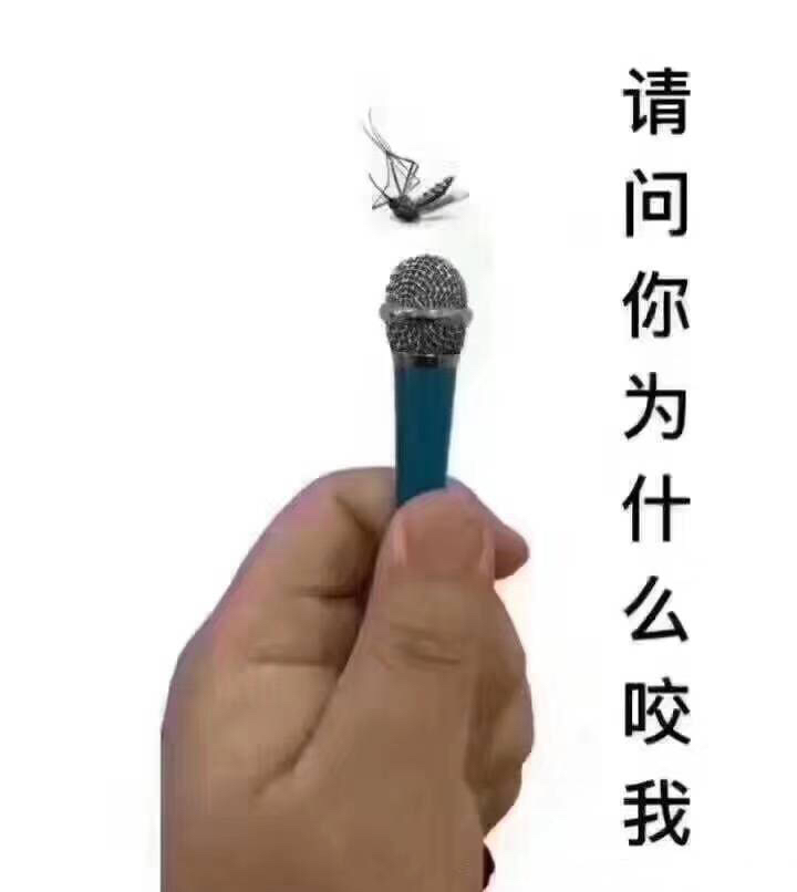 我现在没时间听什么狗屁浪漫爱情故事 我只想吹空调