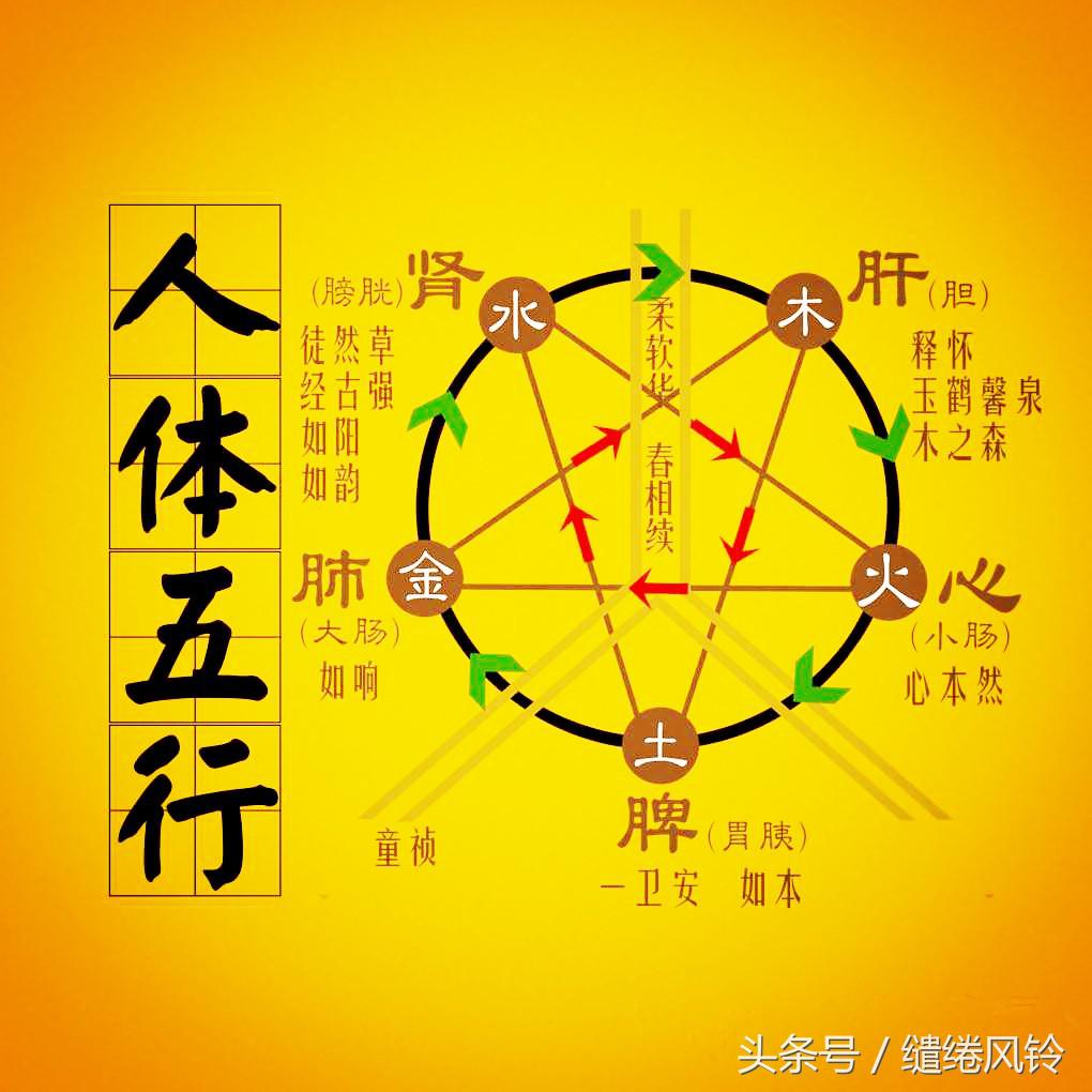 《五行》相生相克:天有五行,水火金木土,分时化育,以成万物!