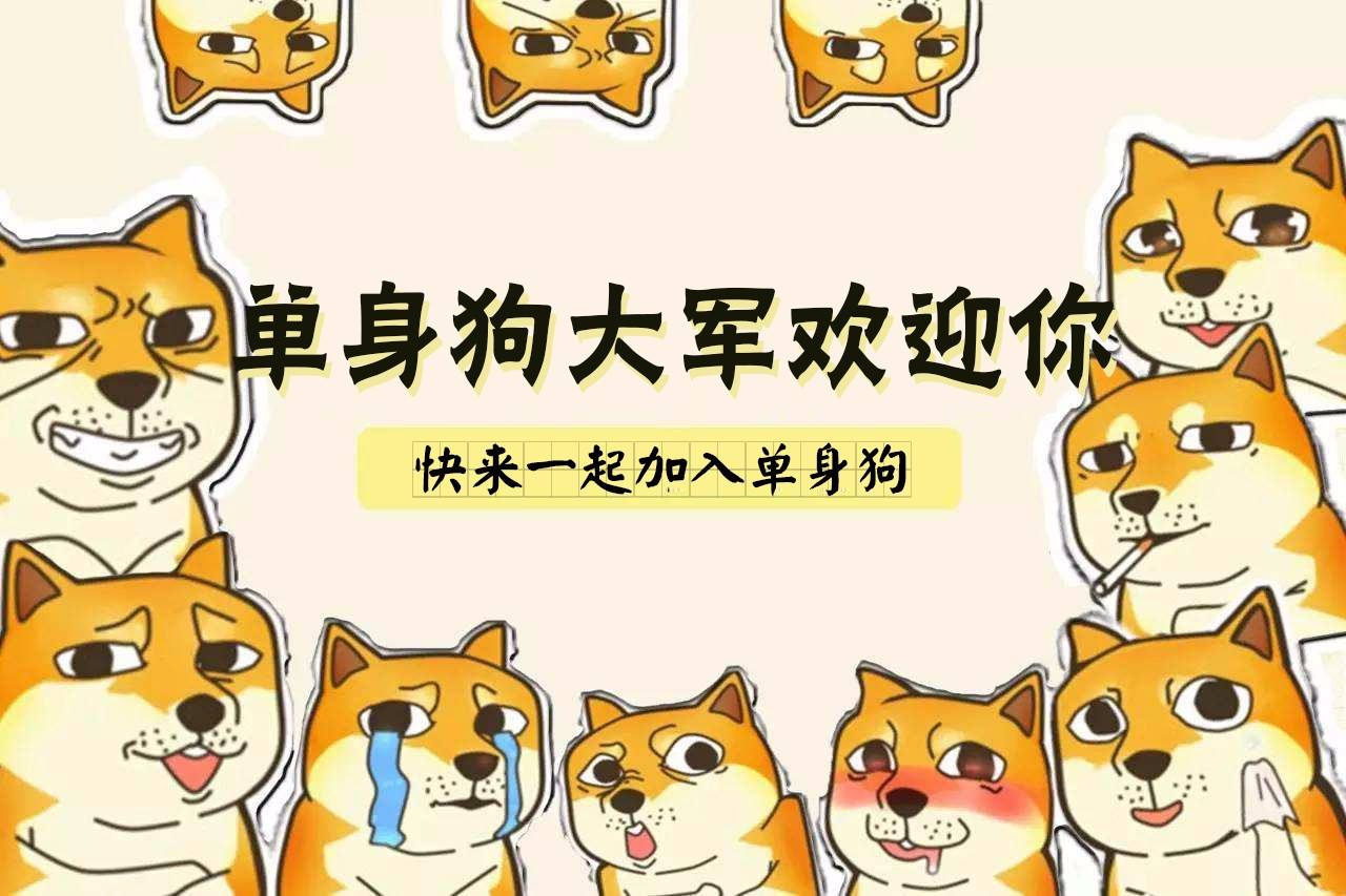 幽默单身狗的个性签名 搞笑单身狗自嘲语录 单身狗图片逗比「图」