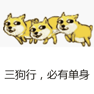 幽默单身狗的个性签名 搞笑单身狗自嘲语录 单身狗图片逗比「图」