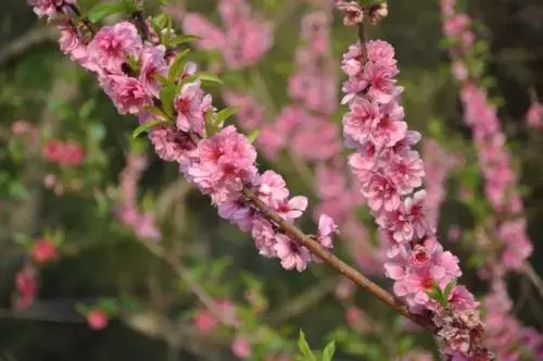 所有人，漳州正在发生这些翻天覆地的变化！