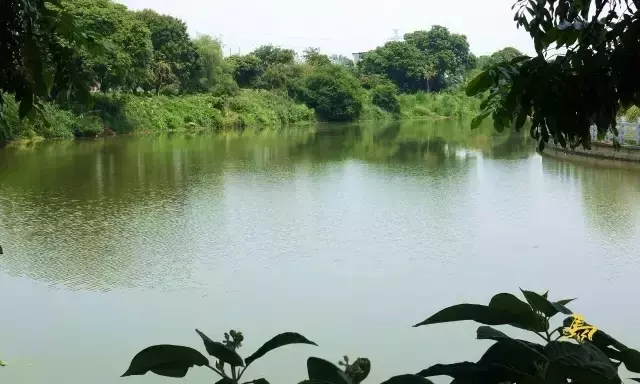 所有人，漳州正在发生这些翻天覆地的变化！