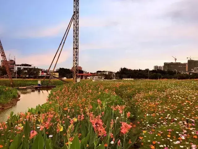 所有人，漳州正在发生这些翻天覆地的变化！