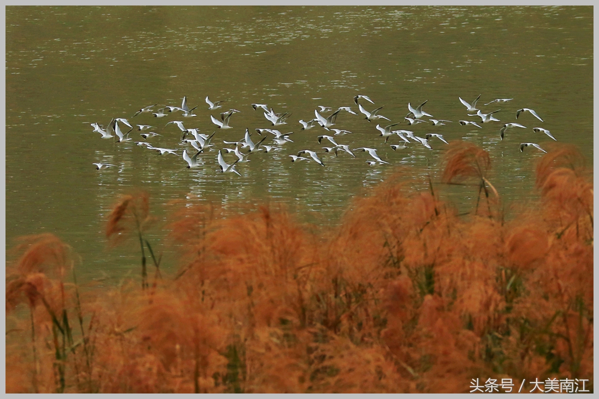 恭喜！南江县通过创国卫技术评估，多图展现南江县城新风貌