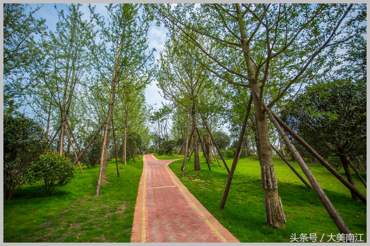 恭喜！南江县通过创国卫技术评估，多图展现南江县城新风貌