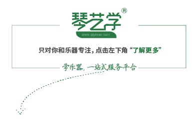 送给小提琴初学者的22句话，能少走无数弯路