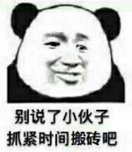 小伙子有前途，和我搬砖吧