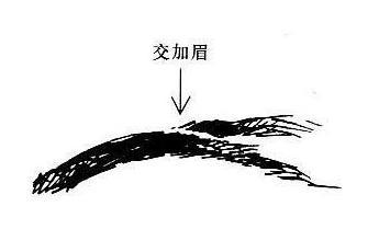 《公笃相法》详解"眉型眉相"