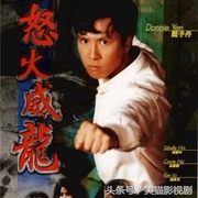 甄子丹最经典的40部作品，我和你赌2根冰棍儿，你最多看过5部