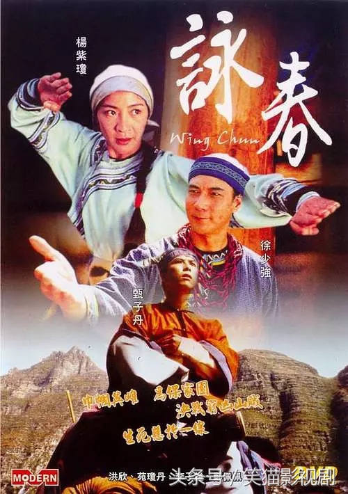 甄子丹最经典的40部作品，我和你赌2根冰棍儿，你最多看过5部