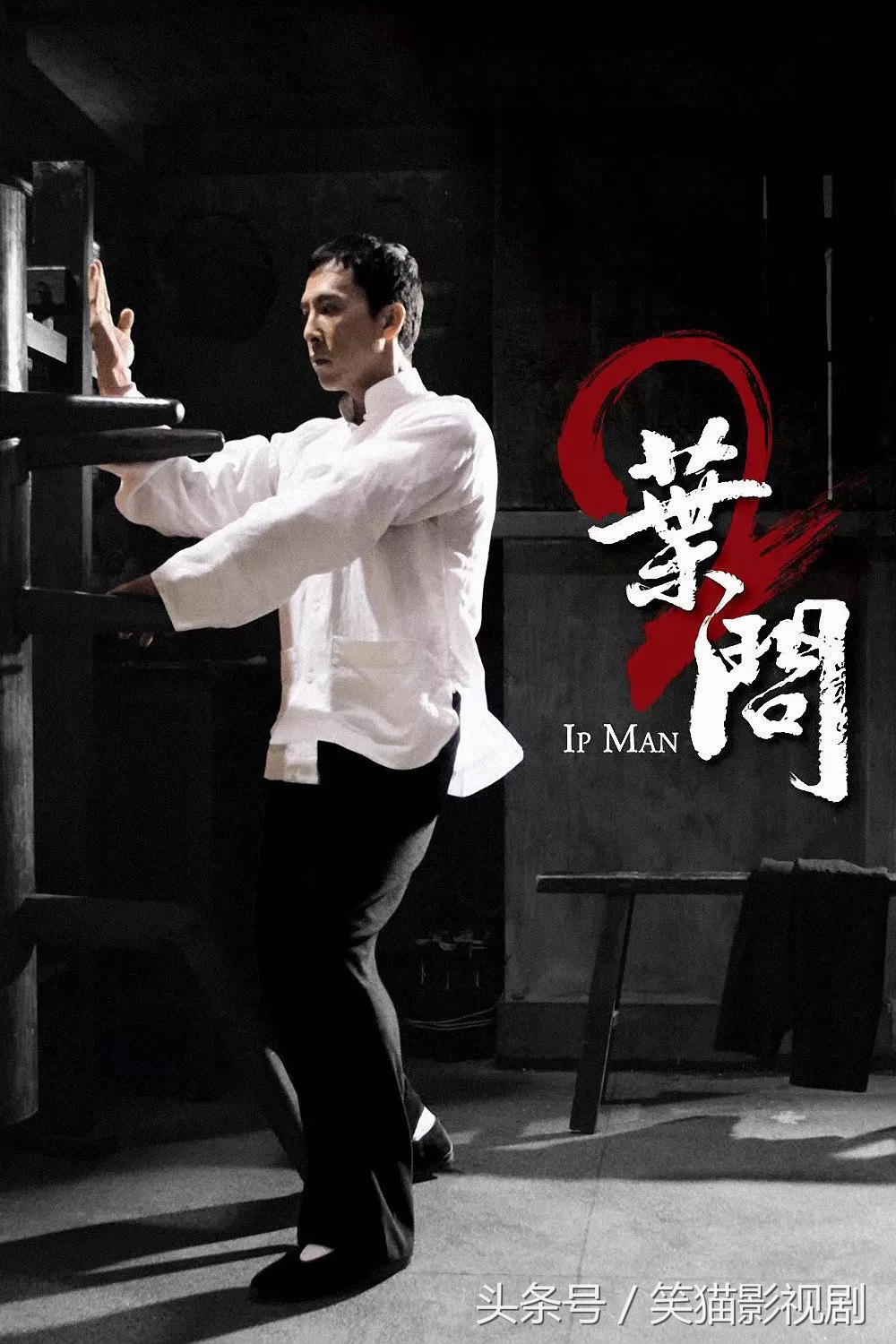 甄子丹最经典的40部作品，我和你赌2根冰棍儿，你最多看过5部