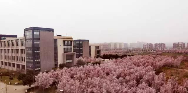 下一站：终点站——石油大学北门！下车请走好！