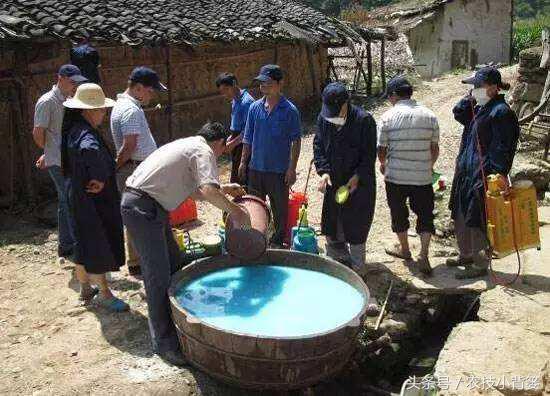 波爾多液配制方法,波爾多液配制方法及用量