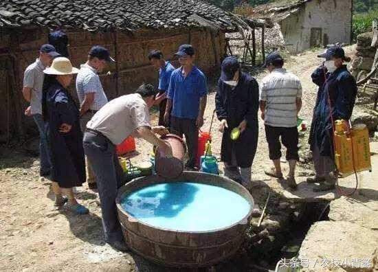 波尔多液配制方法,波尔多液配制方法及用量