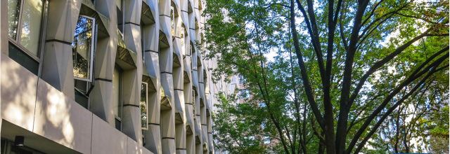 素希访谈：纽约时装学院FIT 和帕森斯Parsons，武林与江湖