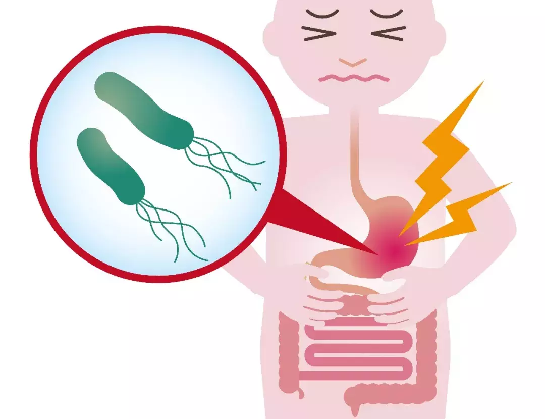 宝宝生长缓慢、消化不良、食欲差，可能是这种细菌惹的祸！