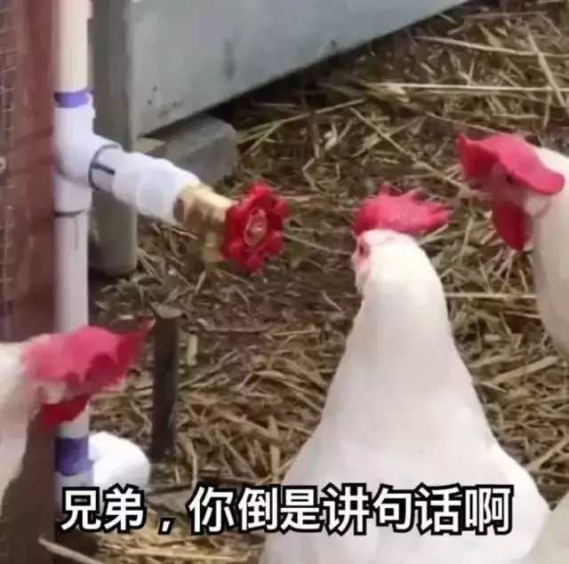 别想太多这是喜剧