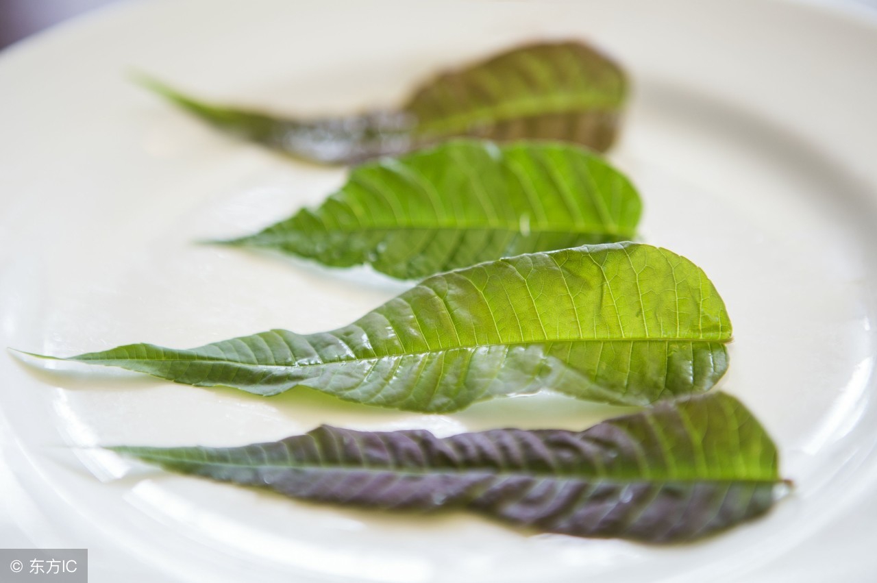 吃椿竟然还有这5个好处，可惜大多数人都不了解