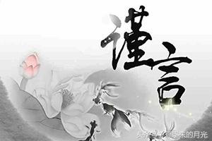 耽美小说推荐，里面的爱情更加真挚，更加的纯粹，仅仅就是喜欢