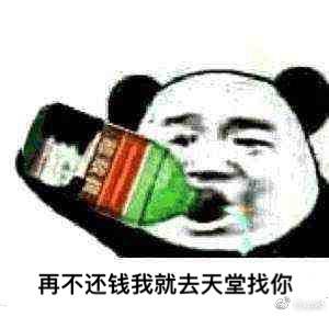 还钱，凭本事借的，为什么要还