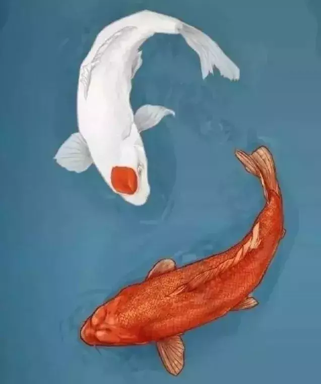 高考前你也“迷信”过这些事吗？