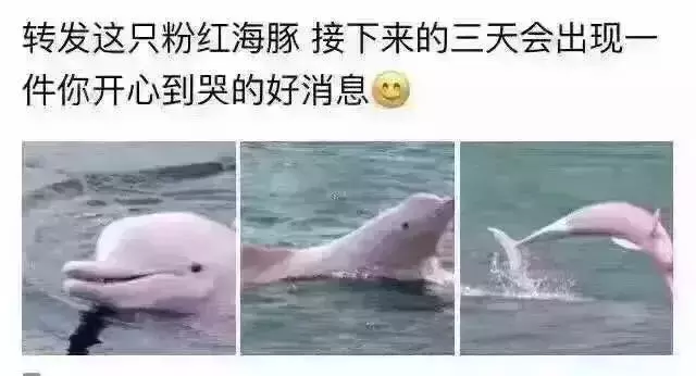 高考前你也“迷信”过这些事吗？