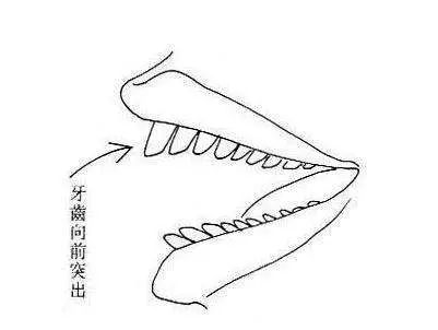 面相揭秘：颧骨看男人本性