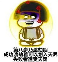 老子不就是在渡劫吗？看把你们吓得