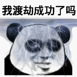 老子不就是在渡劫吗？看把你们吓得