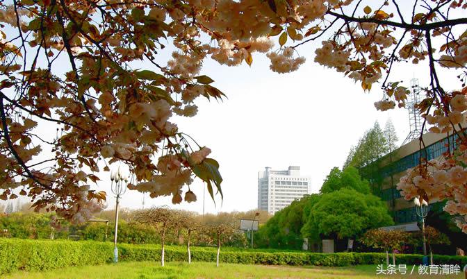 这两所大学被誉为“IT人才的摇篮”，毕业生广受欢迎，薪酬高！